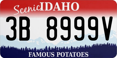 ID license plate 3B8999V
