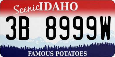 ID license plate 3B8999W