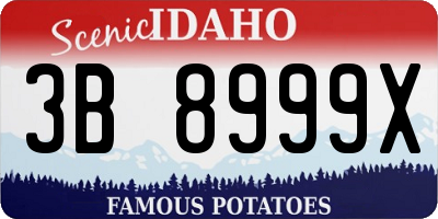ID license plate 3B8999X