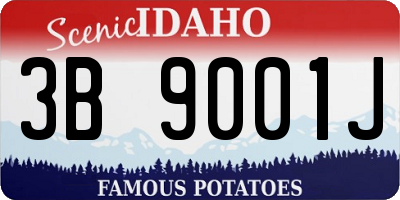 ID license plate 3B9001J