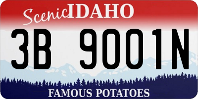 ID license plate 3B9001N