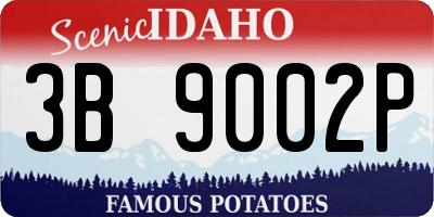 ID license plate 3B9002P