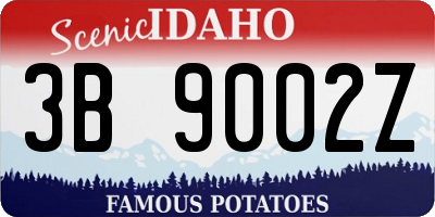 ID license plate 3B9002Z