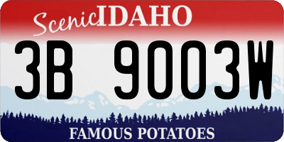 ID license plate 3B9003W