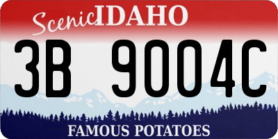 ID license plate 3B9004C