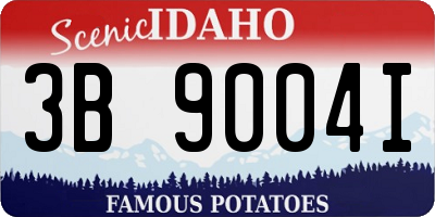 ID license plate 3B9004I
