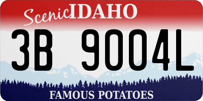 ID license plate 3B9004L