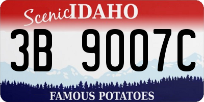 ID license plate 3B9007C