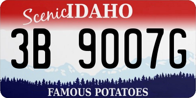 ID license plate 3B9007G
