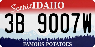ID license plate 3B9007W