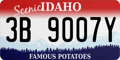 ID license plate 3B9007Y
