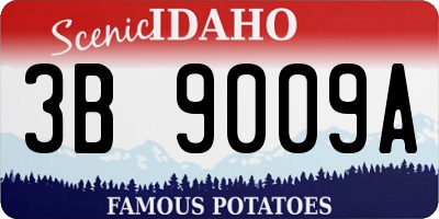 ID license plate 3B9009A