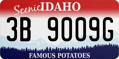 ID license plate 3B9009G