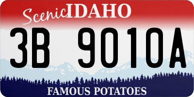 ID license plate 3B9010A