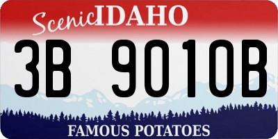 ID license plate 3B9010B