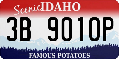 ID license plate 3B9010P