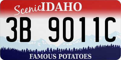 ID license plate 3B9011C