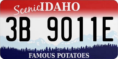 ID license plate 3B9011E