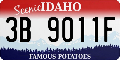 ID license plate 3B9011F