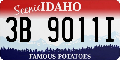ID license plate 3B9011I