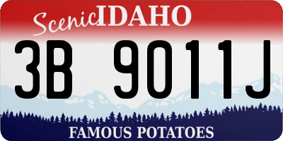 ID license plate 3B9011J
