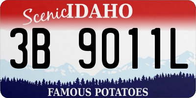 ID license plate 3B9011L