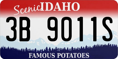ID license plate 3B9011S