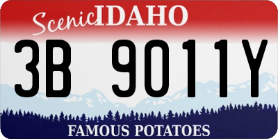 ID license plate 3B9011Y