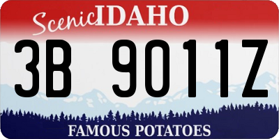 ID license plate 3B9011Z