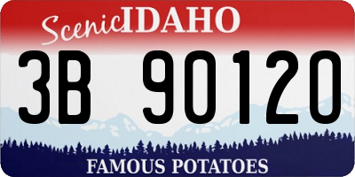 ID license plate 3B9012O