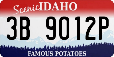 ID license plate 3B9012P