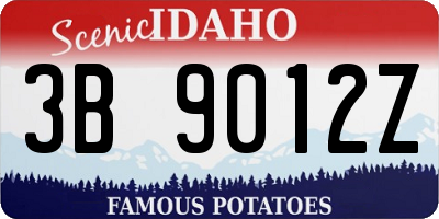 ID license plate 3B9012Z