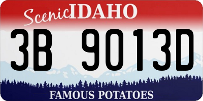 ID license plate 3B9013D
