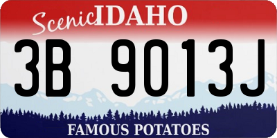ID license plate 3B9013J
