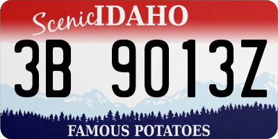 ID license plate 3B9013Z