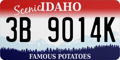 ID license plate 3B9014K
