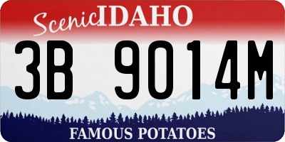 ID license plate 3B9014M