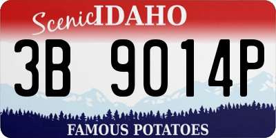 ID license plate 3B9014P