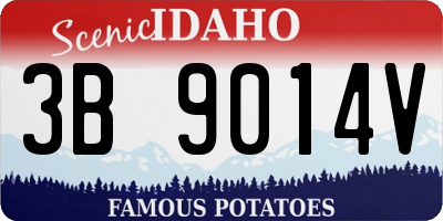 ID license plate 3B9014V