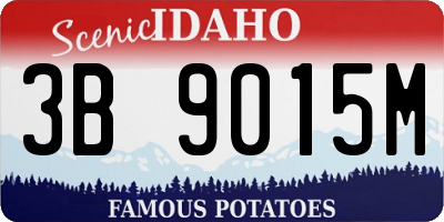 ID license plate 3B9015M