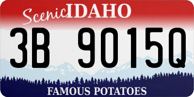 ID license plate 3B9015Q