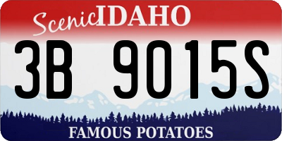 ID license plate 3B9015S