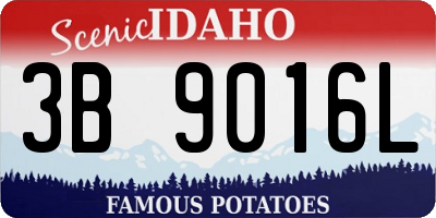 ID license plate 3B9016L