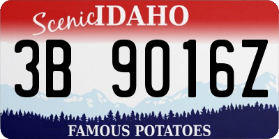 ID license plate 3B9016Z