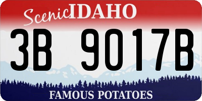 ID license plate 3B9017B