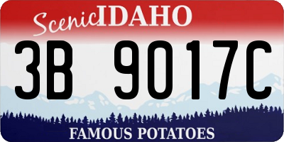 ID license plate 3B9017C