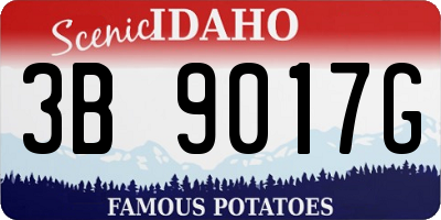 ID license plate 3B9017G
