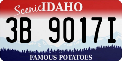 ID license plate 3B9017I