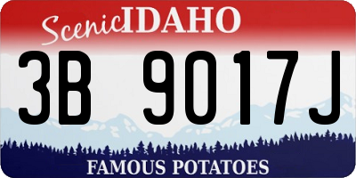 ID license plate 3B9017J