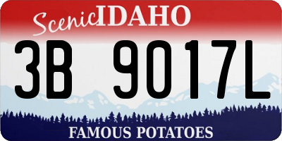 ID license plate 3B9017L